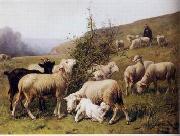 unknow artist Sheep 165 oil painting reproduction